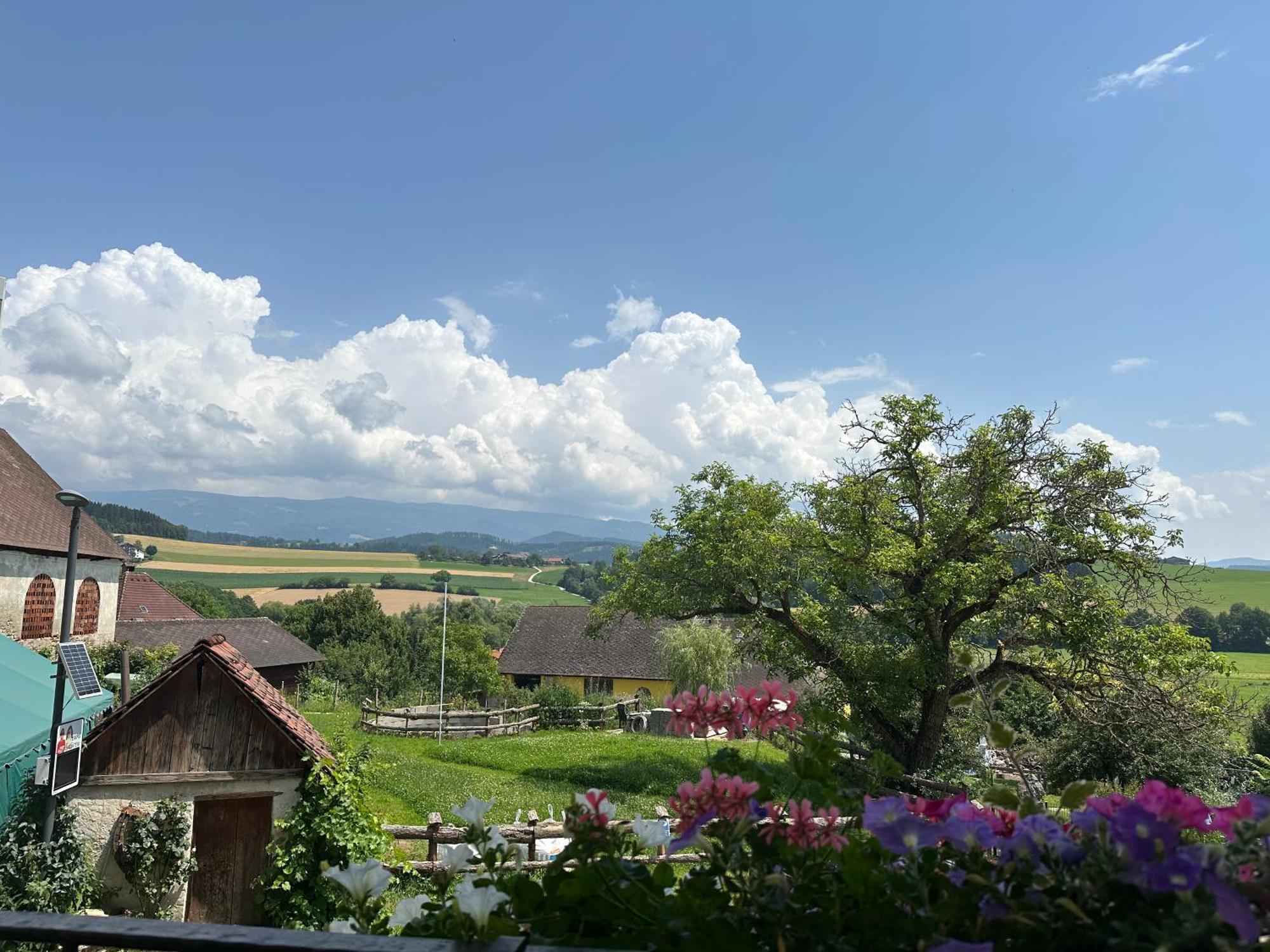 Althofen  Gasthof Winkelwirt מראה חיצוני תמונה